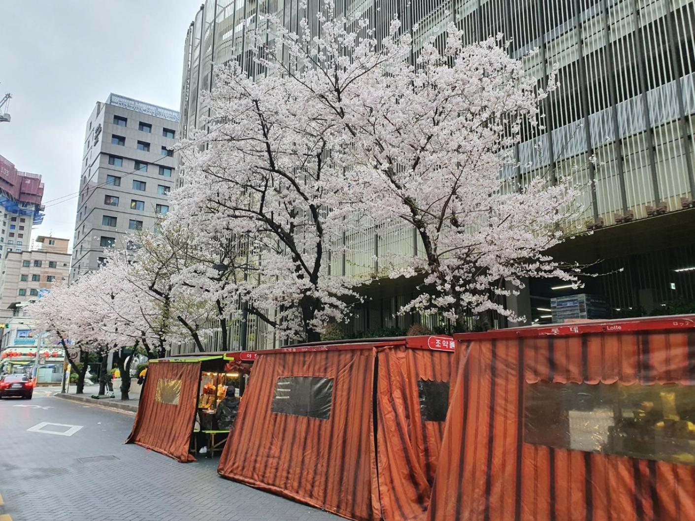 Busan Business Hotel Exterior photo